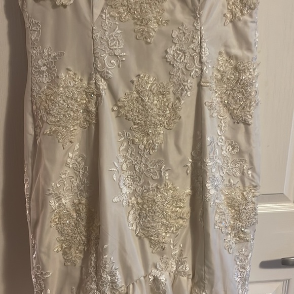 Beautiful Mermaid Lace and Tulle Wedding Dress - Picture 4 of 10